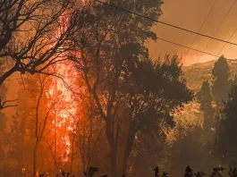 Incendio forestal en Ñuble: Senapred ordena evacuación en Pinto por riesgo inminente.