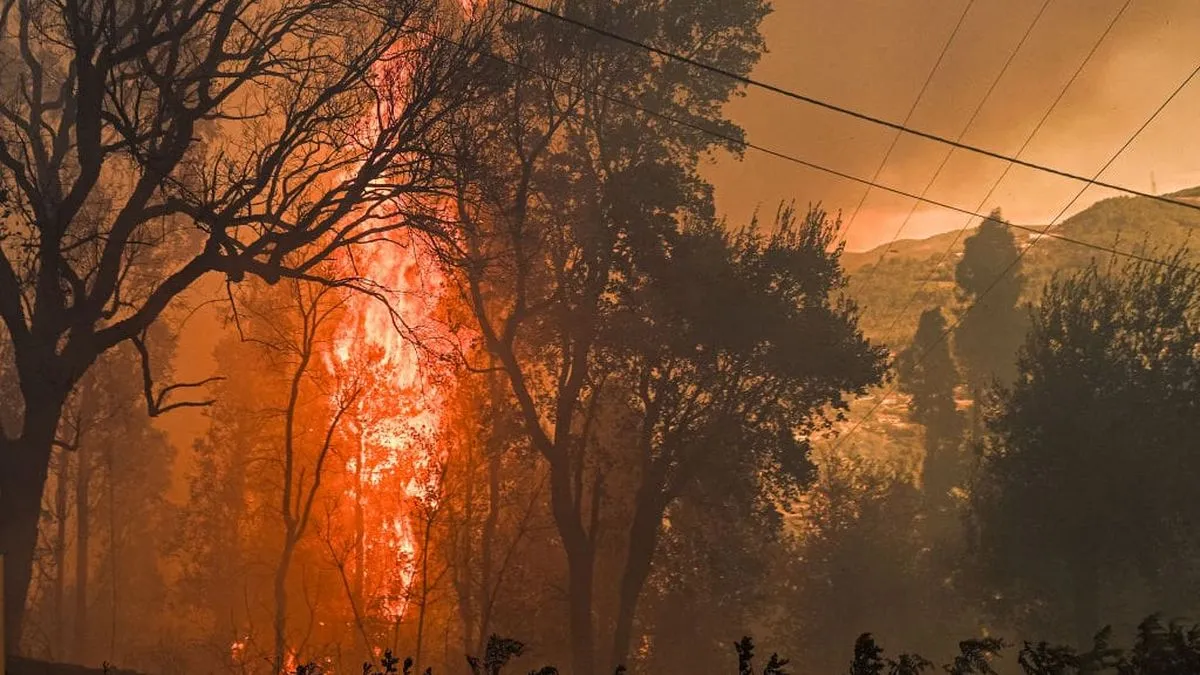Incendio forestal en Ñuble: Senapred ordena evacuación en Pinto por riesgo inminente.