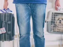 Sernac interviene tras quejas sobre el traslado de mascotas en aerolíneas chilenas.