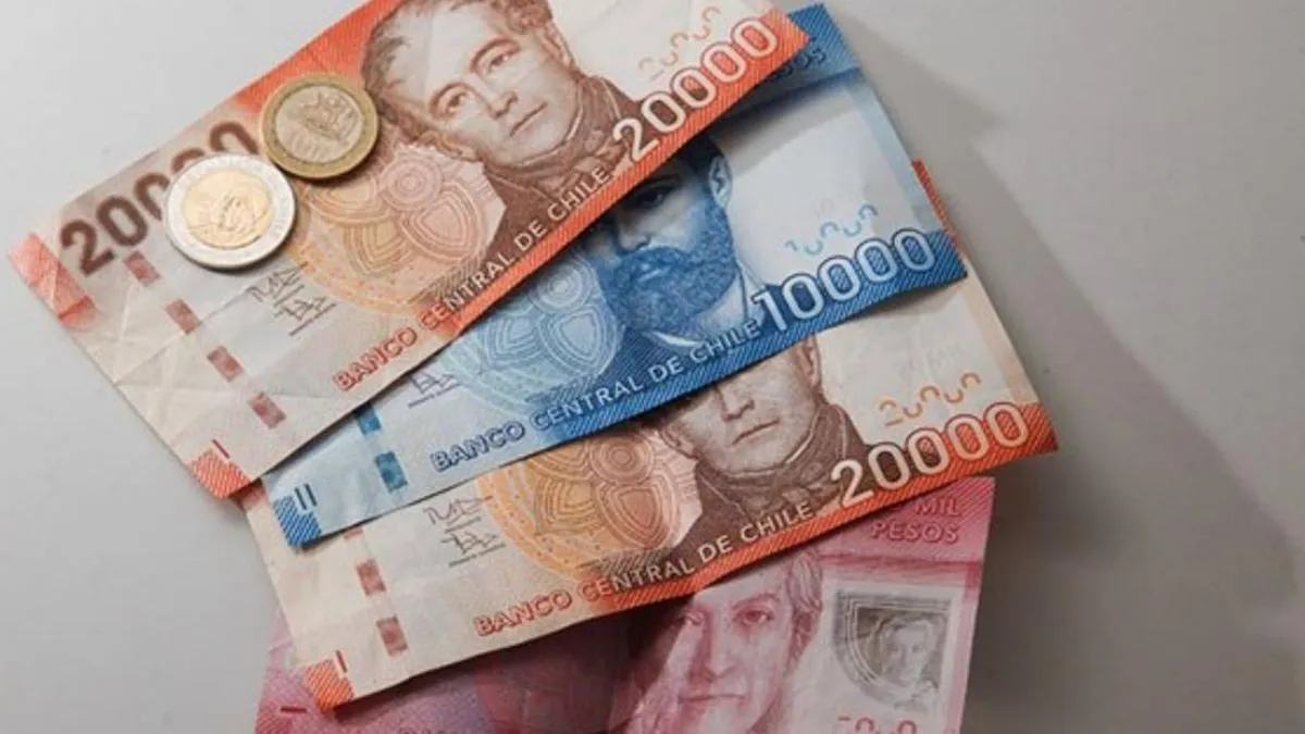 Participa en la campaña de referidos de Tapp y gana hasta $1.000.000 en febrero 2025.