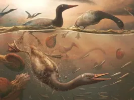 Fósil de ave moderna más antiguo hallado en la Antártida