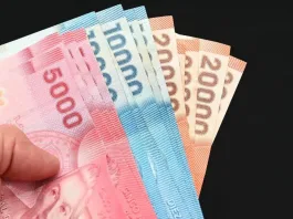 Aporte Familiar Permanente 2025: Conoce detalles y beneficiarios del Bono Marzo en Chile.