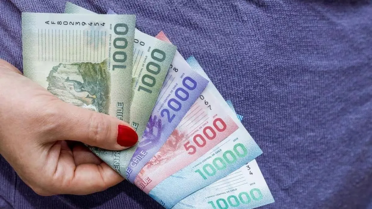 Bono Marzo 2025: Nuevos beneficiarios recibirán $64.574 por carga familiar desde el 3. Bono Marzo 2025: Nuevos beneficiarios recibirán $64.574 por carga familiar desde el 3.