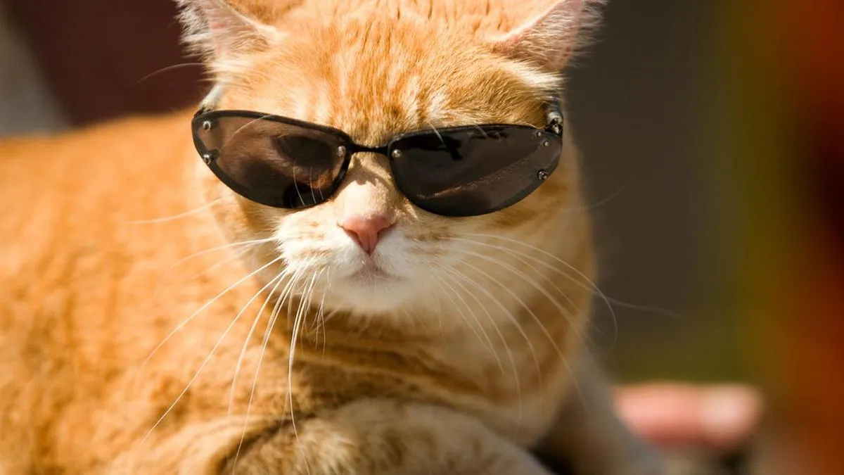 Otoño en Chile: Temperaturas bajan y lluvias llegan desde Patagonia al Centro-Sur. Otoño en Chile: Temperaturas bajan y lluvias llegan desde Patagonia al Centro-Sur.