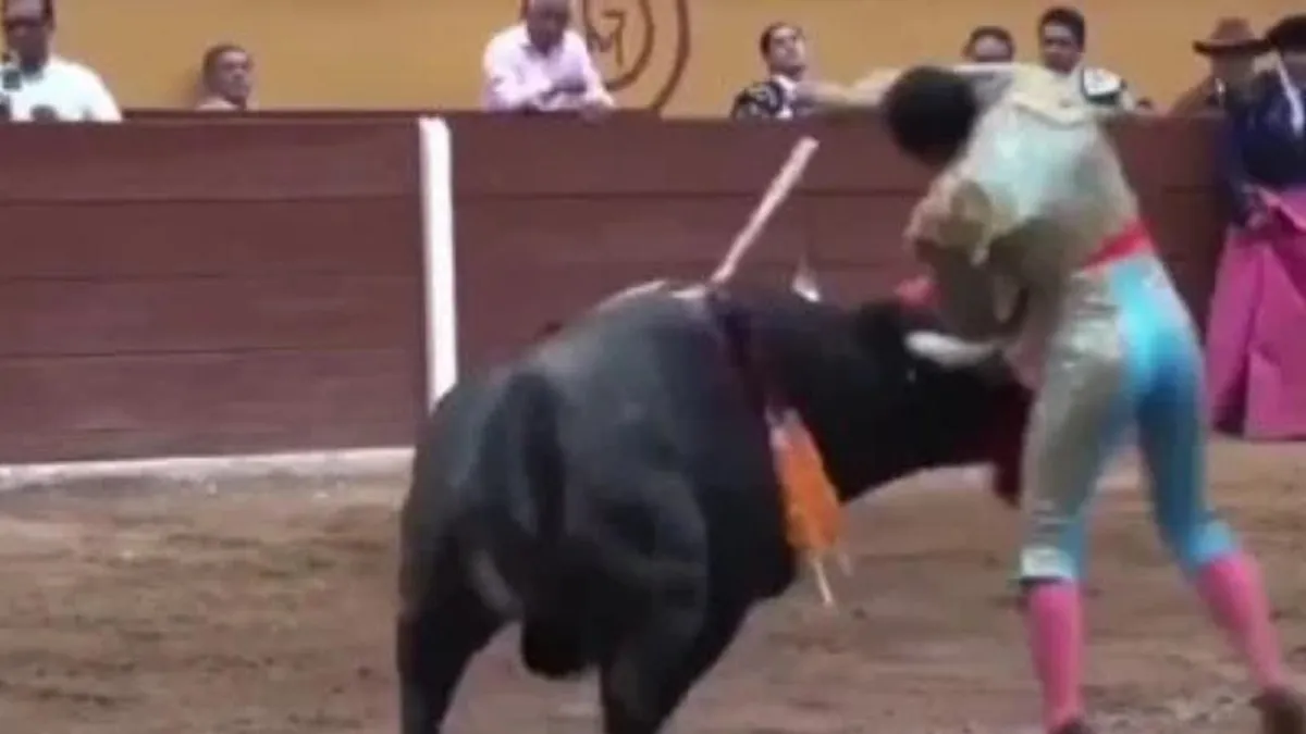 Torero en estado crítico tras brutal corneada en México: 20 segundos de agonía.