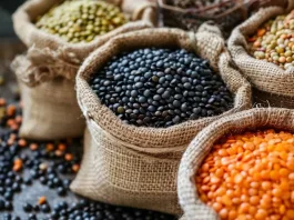 Descubre las legumbres ricas en hierro para potenciar tu vitalidad femenina.