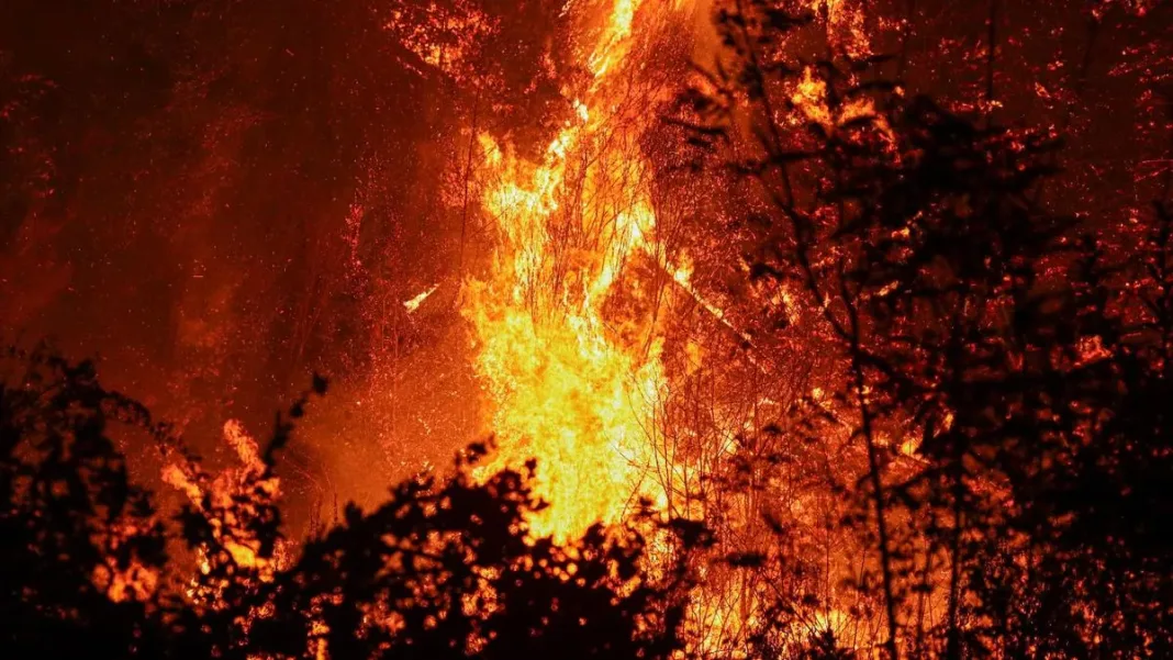 Acusan que incendios en el sur de Chile fueron provocados intencionadamente.