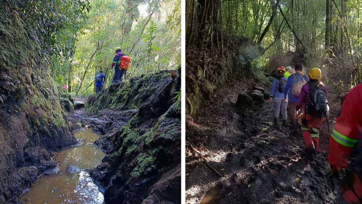 Intensa búsqueda de joven extraviado en Valle Cochamó