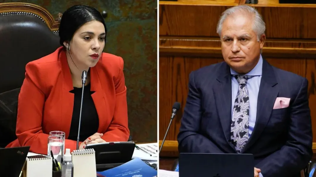 Karol Cariola designa a Juan Carlos Manríquez como defensor en caso posparto.