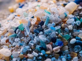 Un estudio revela la presencia de plástico en el cerebro humano