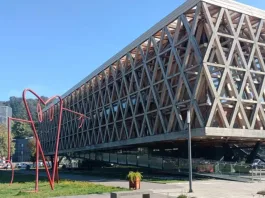 Cajas misteriosas con peluches halladas en Pabellón de La Araucanía.