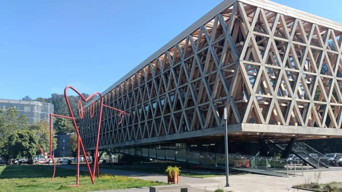 Cajas misteriosas con peluches halladas en Pabellón de La Araucanía. Cajas misteriosas con peluches halladas en Pabellón de La Araucanía.