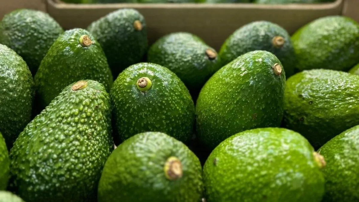 La lucha por la palta: Chile y Perú compiten por el mercado del 'oro verde'.