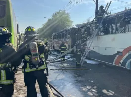 Incendio de dos buses en San Bernardo: se investiga posible intencionalidad.
