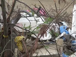 Vertedero clandestino hallado en humedal protegido en Temuco