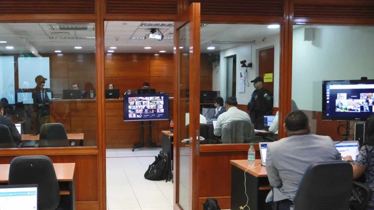 'Estrella' 'Estrella'