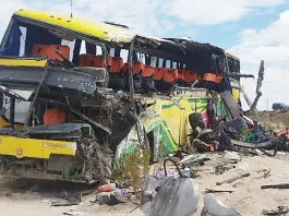 Dos chilenos entre las víctimas de un trágico accidente de tránsito en Bolivia.