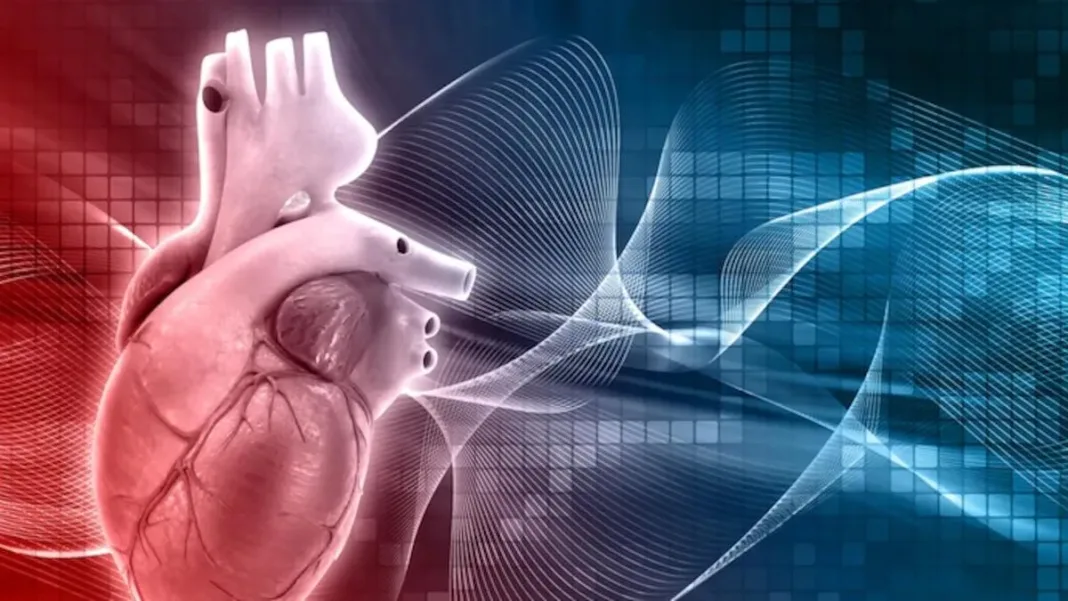Descubre cómo el test de calcio predice el riesgo de infarto cardíaco.