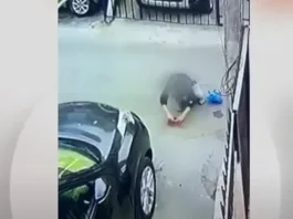 Un niño relata su sufrimiento tras ser esclavizado por su madrastra en Iquique.