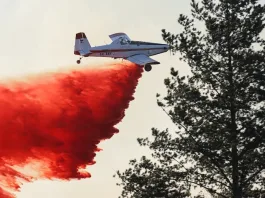 La Araucanía: Sobreseída mujer detenida por incendio que causó la muerte de 3 brigadistas.
