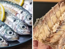 Jurel: una alternativa rica en proteínas para disfrutar en Semana Santa.