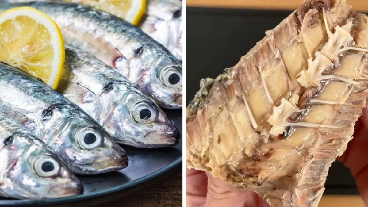 Jurel: una alternativa rica en proteínas para disfrutar en Semana Santa.