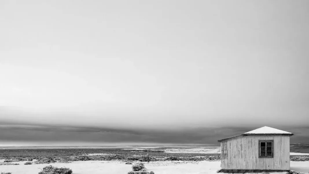 Explora la inmensidad de Magallanes y Tierra del Fuego en esta exposición inmersiva.