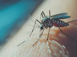 Día Internacional contra el Dengue: identifica y previene al mosquito transmisor.