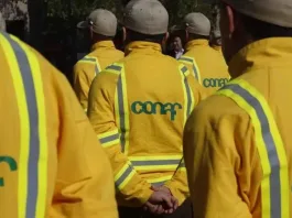 Conaf ofrece empleos con sueldos de hasta $1