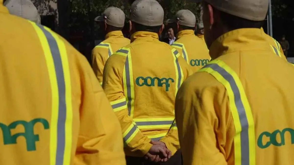 Conaf ofrece empleos con sueldos de hasta $1
