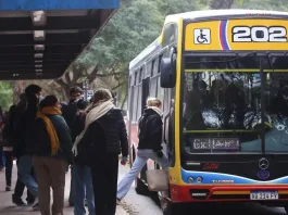 Transporte público gratuito en PBA: 7 de septiembre y 26 de octubre 2025.