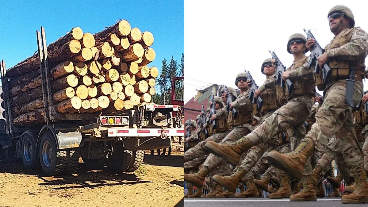 Conductores forestales critican la efectividad de las FFAA en la Macrozona Sur.