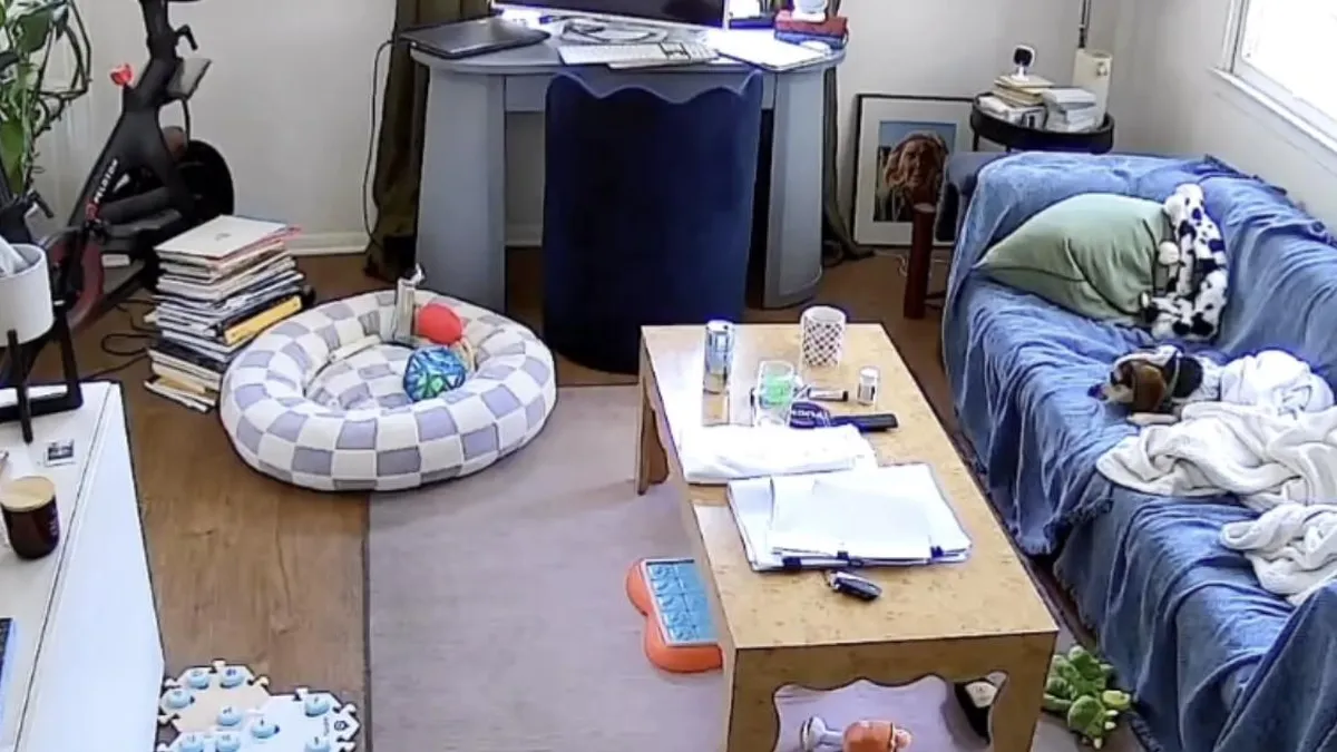 Perrito se vuelve viral al usar Alexa para escuchar su música favorita: ¡Juice!