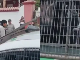 Reo escapa de hospital en Arica tras robar arma a gendarme; Carabineros lo recapturan.