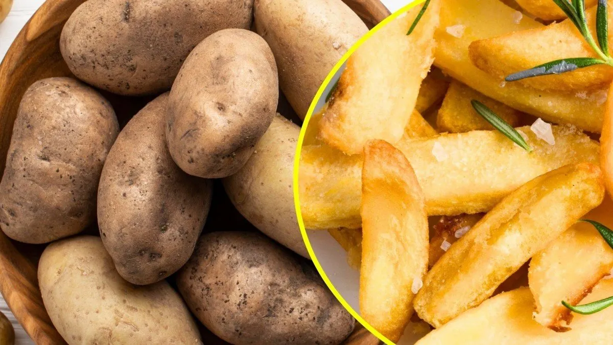 Descubre el sorprendente origen chileno de la papa