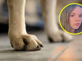 Tragedia en Australia: Adolescente pierde la vida tras ataque de perro.