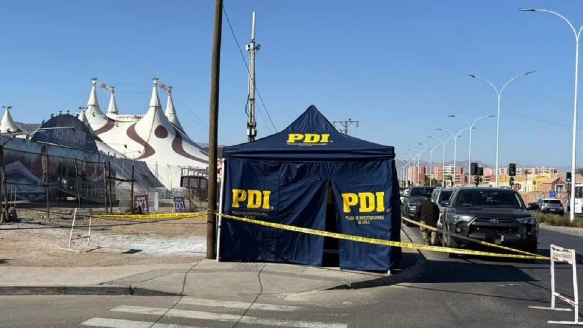 Tragedia en Antofagasta: mujer y su mascota mueren por cable expuesto en la calle.