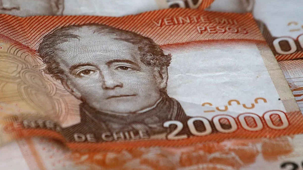 Descubre cómo acceder al Bono de Protección y sus beneficios prioritarios. Descubre cómo acceder al Bono de Protección y sus beneficios prioritarios.