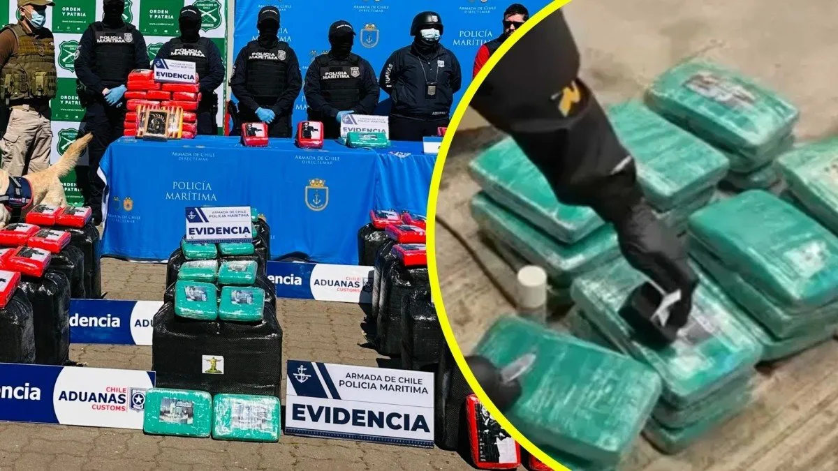 Incautación histórica: 850 kg de marihuana creepy en San Antonio Incautación histórica: 850 kg de marihuana creepy en San Antonio