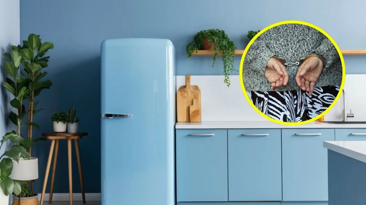 Mujer ocultó el cadáver de su hija en un refrigerador durante 20 años. Mujer ocultó el cadáver de su hija en un refrigerador durante 20 años.