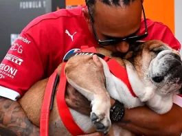 Lewis Hamilton se despide de su querido perro Roscoe en un emotivo adiós.