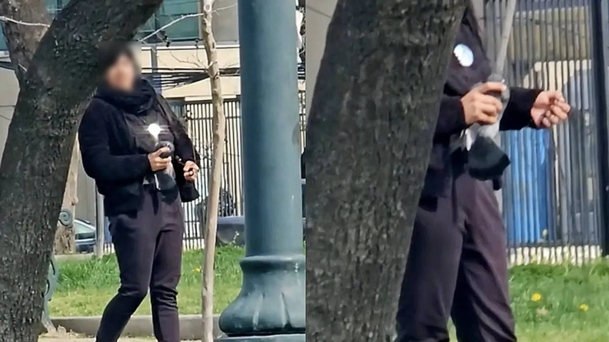 Denuncian la venta de palomas atrapadas para su uso en restaurantes. Denuncian la venta de palomas atrapadas para su uso en restaurantes.