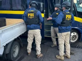 Operación Fortaleza: masiva fiscalización en Vega Central por PDI y Carabineros.