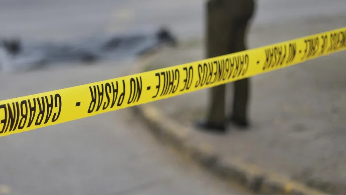 Tragedia en Pucón: menor de 11 años muere tras ser atropellada por conductor ebrio.