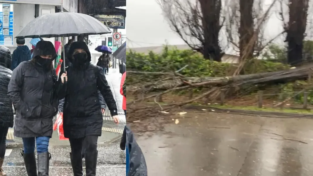 Temporal en Los Ríos: árboles caídos y 17 mil clientes sin luz. Temporal en Los Ríos: árboles caídos y 17 mil clientes sin luz.