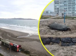 Misteriosa estructura en La Serena: un enigma histórico por descubrir.