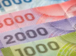 Consulta si recibes el Subsidio Familiar con tu RUT y conoce tus beneficios.