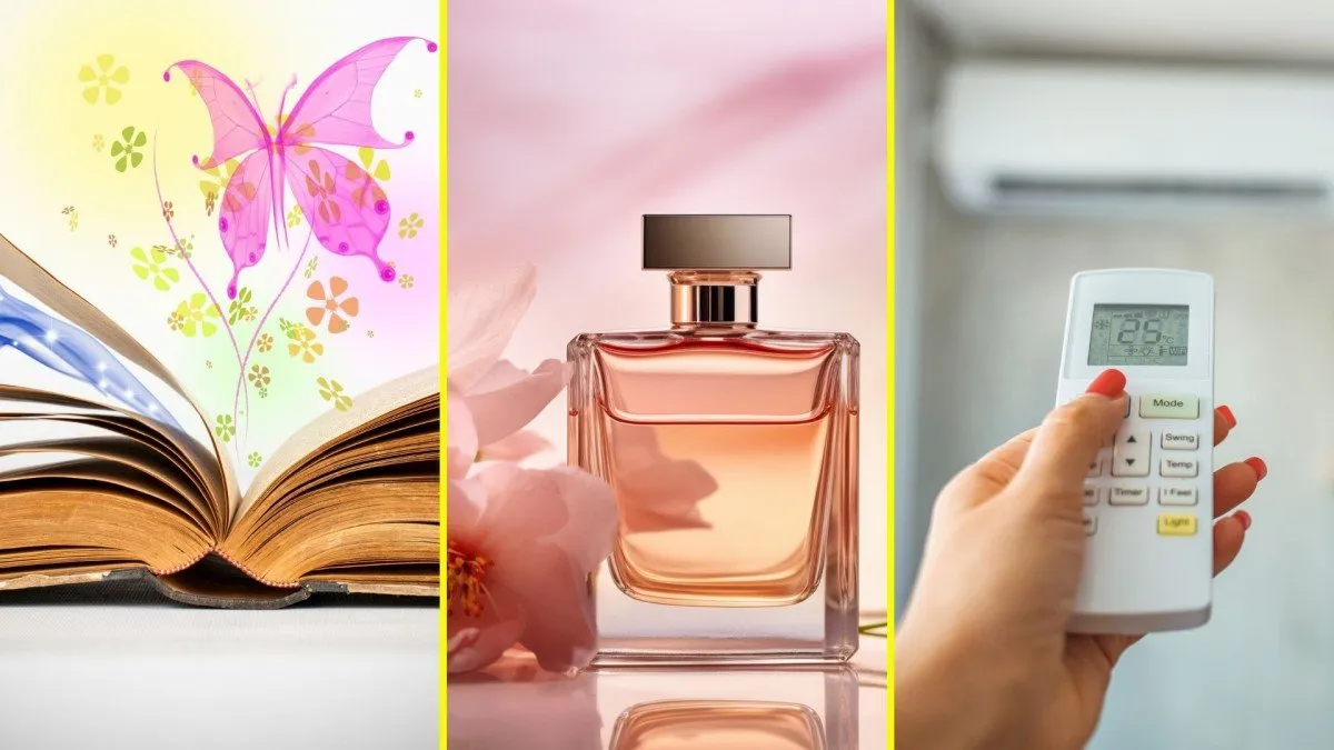 Descubre las mejores ofertas online del 05 de septiembre por marcas. Descubre las mejores ofertas online del 05 de septiembre por marcas.