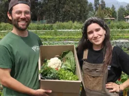 Programa apoya a jóvenes en la compra de terrenos rurales: descubre su funcionamiento.
