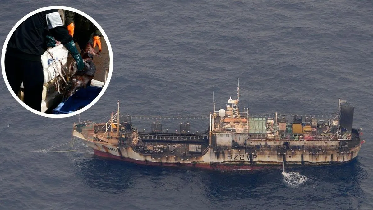 Pescadores artesanales alertan sobre la amenaza de la flota china en Chile.